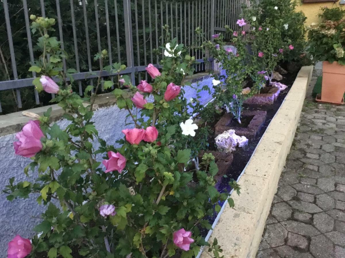 Villa Marilena Ranzanico 외부 사진